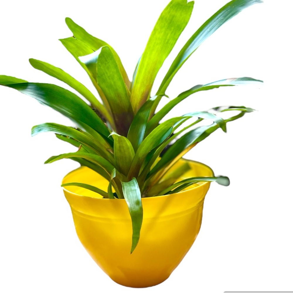 💛 NWT Yellow 10” Planter Flower Pot 💛